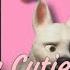 Animash What My Cutie Mark Is Telling Me