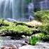 Waterfall Flowing Over Rocks In Forest 4k Relaxing Flowing Water White Noise For Sleep Meditation