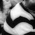 Depeche Mode Never Let Me Down Dominatrix Rmx 2yTjZy72ROk