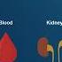 Diagnosing And Managing Diabetic Ketoacidosis