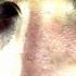 Kuzey Behind Blue Eyes