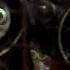 The Curse Of The Were Rabbit Trailer Fast