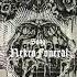 VOMITHEIST Switzerland NekroFvneral Death Metal Transcending Obscurity Records
