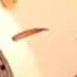 Obey Me Are You Ready Mammon But Belphie Drowns You