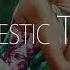 Housenick Babe On My Own Andomalix Remix