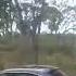VLINE Southern Cross Albury NSW 210524 Shorts Shortvideo Train Travel Windowviews Vline Views