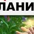 КАК ПРАВИЛЬНО ЗАГАДЫВАТЬ ЖЕЛАНИЯ И СТАВИТЬ ЦЕЛИ ЧТОБЫ ОНИ СБЫЛИСЬ