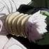 Hyōri Ittai Hunter X Hunter