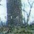 Lykke Li Little Bit Slowed Reverbed