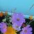 Making Floral Pumpkins At The Pumpkin Patch Pumpkin Pumpkinpatch Fall Autumn Flowers Floral