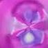 Zoopals In G Major 4521