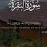 Surah Al Baqra 57 With Urdu Translation Quran Quotes Share Shorts Trending