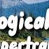 Supertramp The Logical Song Lyrics