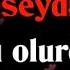 Gitmeseydi Onun Kulu Olurdum KARAOKE