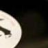 Sinus Blob Rmx J J Jam Wmv