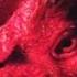 Watermelon Slim The Workers Bull Goose Rooster