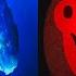 L ICEBERG Des POSTS REDDIT Les Plus PERTURBANTS COMPLET