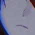 NightCore Suffocate Me Lyrics