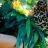 Katy Perry Roar Instrumental Com Back Vocal