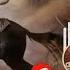 Ertugrul Official Ringtone Ringtone Instrumental Turkish Music Ringtone Ertugrul Bgm