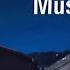 Lawrence Musk Vs Trump Trump S Silence On Musk S Budget Bill Attacks Proves Who S Afraid Of Whom