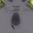 Bungou Stray Dogs Amv Natural