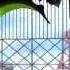 Owari No Seraph AMV Rise