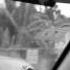Kingston Signals Road Again