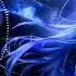 Nightcore Don T Go