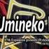 46 EPISODE 8 FINAL MAGIC ENDING Umineko When They Cry Answer Arcs PC VISUAL NOVEL HD