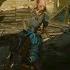 The Witcher 3 Blood Wine Pam Pa Ram V2