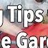 10 Smart Watering Tips For Your Vegetable Garden