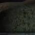 Five Night At Freedy Song Believer