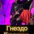 Юля Шереметьева группаледи