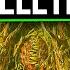 WARNING This Will GLITCH The Terminus Boss Fight BO6 Zombies