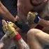 UFC311 Pelea Completa Merab Dvalishvili VS Sean O Malley