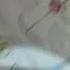 Doraemon L Unknown Kid Artist