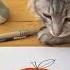 How To Draw A Tangerine