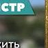Мистер министр Фильм об Александре Ткачёве