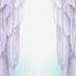 Wings Of Eternity