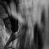 MELODIC HOUSE TECHNO MIX 2024 BY FEROZ Set Melodichouse Melodictechno