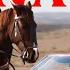 HAVANA Full Video LEO GREWAL PARADOX LEONIZATION BHUSHAN KUMAR