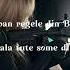 Shaban Regele Din Banat Pala Tute Some Dilo Speed Up