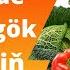 The Most Used English Nouns Fruits And Vegetables İŇLİS DİLİNDE İŇ KÖP ULANYLÝAN ATLAR