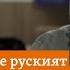 Кой е руският нобелов лауреат Дмитрий Муратов