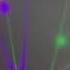 Damian G LIVE MIX BASS HOUSE BASSLINE CLUB MUSIC