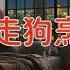 老王来了揭秘 为什么说王岐山一定落马 郭文贵与王岐山因何结仇 郭文贵的传奇故事 王岐山的背景及仕途之路