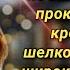 Я невиновата Тетя Марго поверьте Он сам кричала Вера у бездыханного тела отца своей подруги