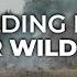 Oregon Gov Tina Kotek Signals Support For Using Kicker For Wildfire Costs