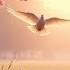 Talk To The Holy Spirit Soaking Worship Music For Intimacy Friendship